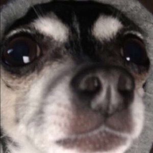 Meet your Posher, Karina